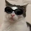Стикер 32 Cats #cat #animal #cute #memes