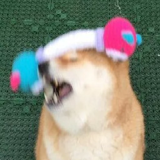 😂 Стикер «JiBotnbie (животные)» для Telegram