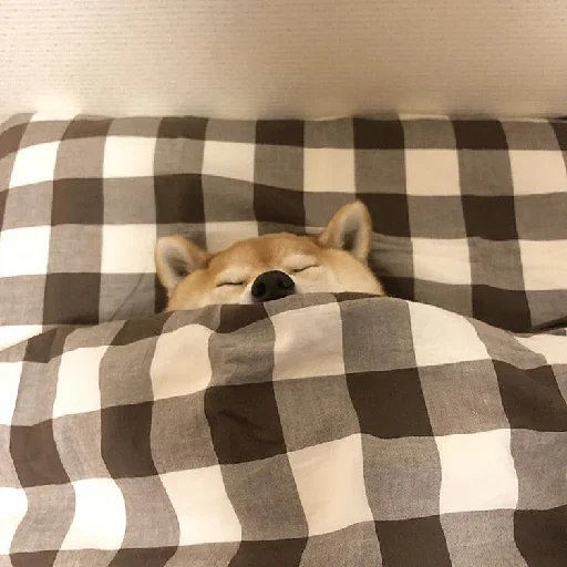 😴 Стикер «JiBotnbie (животные)» для Telegram