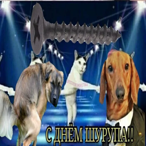 🤐 Стикер «С днем говна» для Telegram