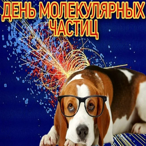 🥳 Стикер «С днем говна» для Telegram