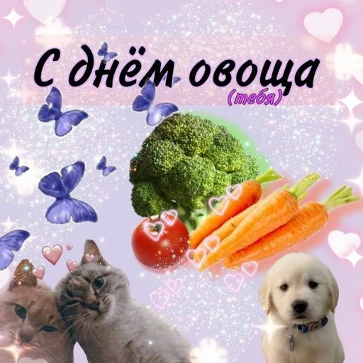 👽 Стикер «С днем говна» для Telegram