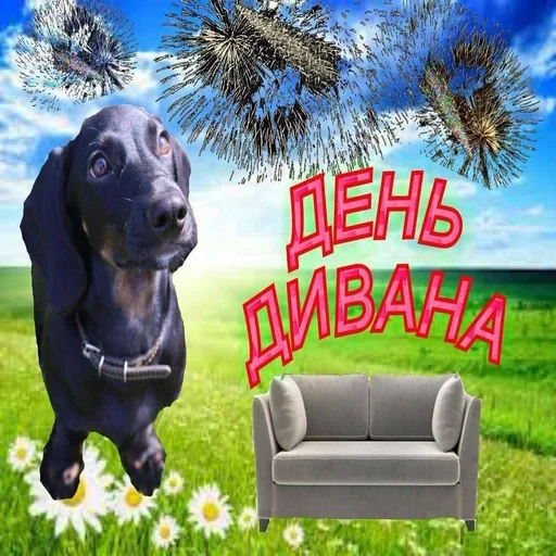 😇 Стикер «С днем говна» для Telegram