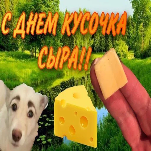 🧀 Стикер «С днем говна» для Telegram