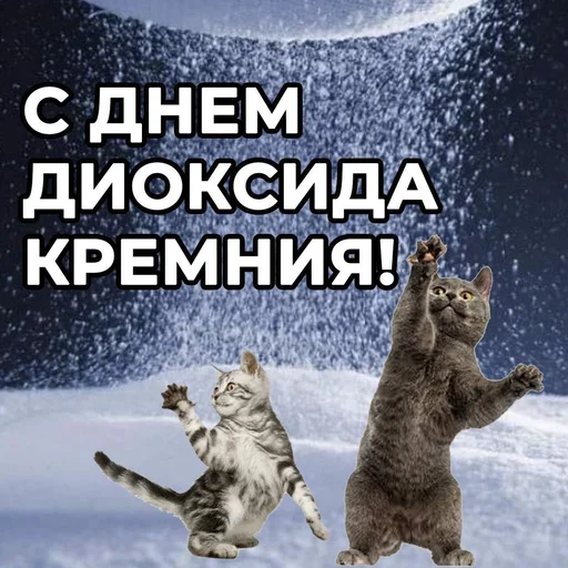 🙃 Стикер «С днем говна» для Telegram