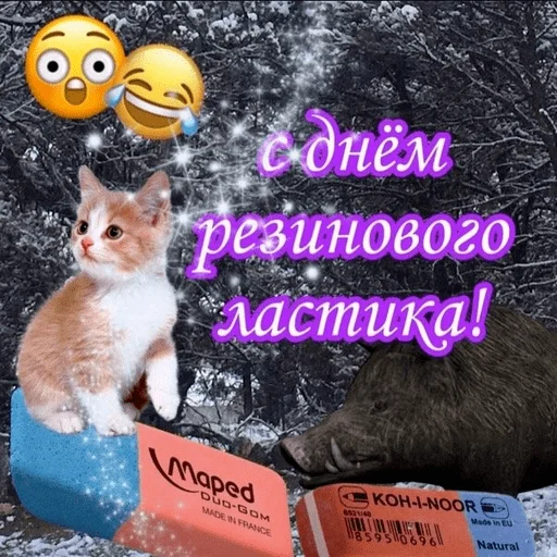 😺 Стикер «С днем говна» для Telegram