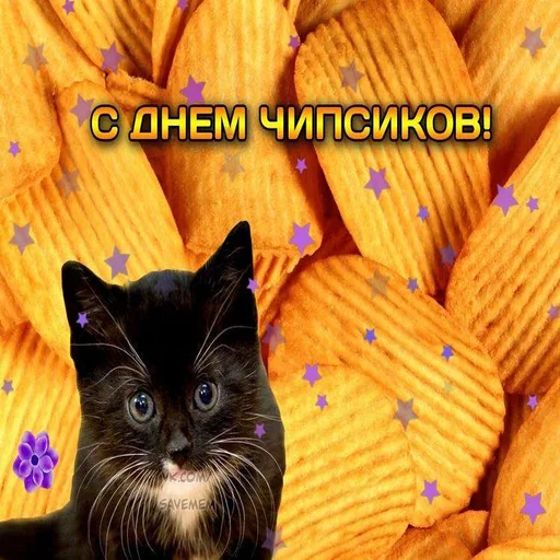🥔 Стикер «С днем говна» для Telegram