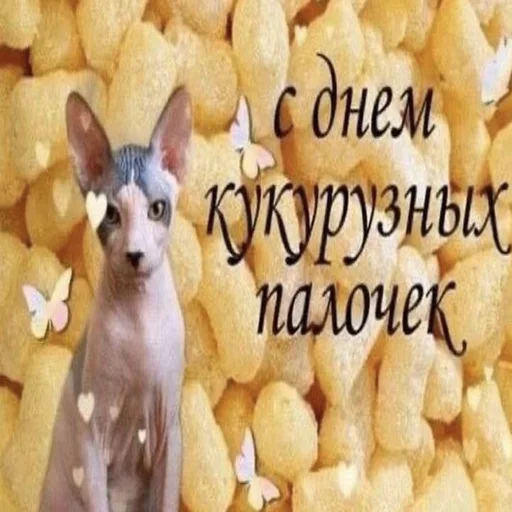 🤑 Стикер «С днем говна» для Telegram