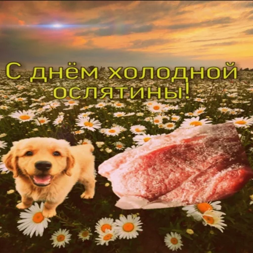 🥵 Стикер «С днем говна» для Telegram