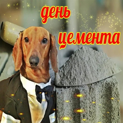 😂 Стикер «С днем говна» для Telegram
