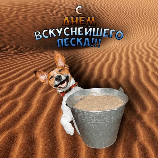 😘 Стикер «С днем говна» для Telegram