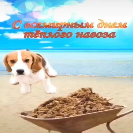 😍 Стикер «С днем говна» для Telegram