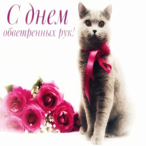 🥶 Стикер «С днем говна» для Telegram