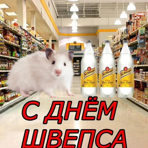 😉 Стикер «С днем говна» для Telegram