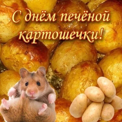 🤠 Стикер «С днем говна» для Telegram