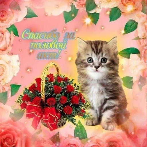 😘 Стикер «С днем говна» для Telegram