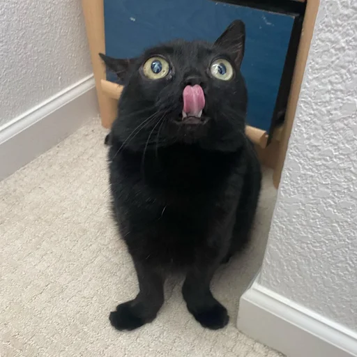 👅 Стикер «jinx» для Telegram
