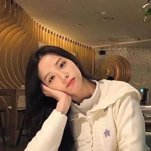 🦄 Стикер «jisoo» для Telegram