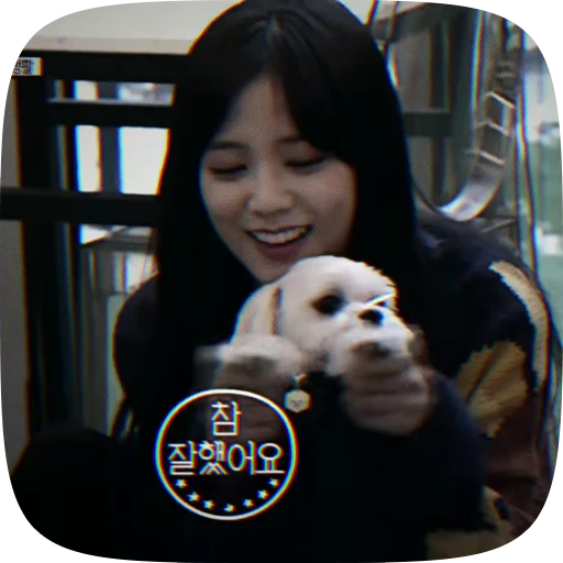 🍩 Стикер «jisoo kim» для Telegram