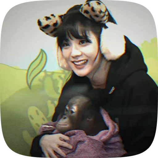 🍩 Стикер «jisoo kim» для Telegram