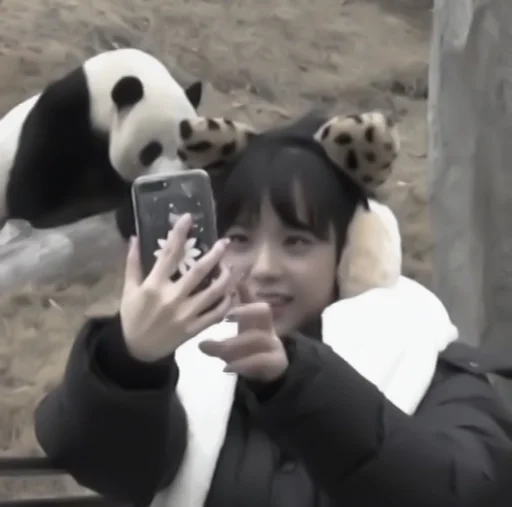 Стикерпак 🐮; 𝘫𝘪𝘴𝘰𝘰 𝘧𝘳𝘮 𝘣𝘱. для Telegram — скачать