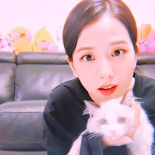 🩰 Стикер «kim jisoo» для Telegram