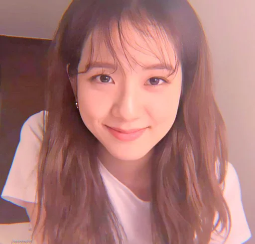 🩰 Стикер «kim jisoo» для Telegram