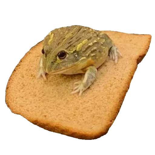 🥪 Стикер «Jabas» для Telegram