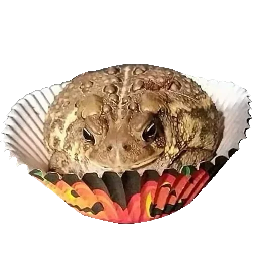 🧁 Стикер «Jabas» для Telegram