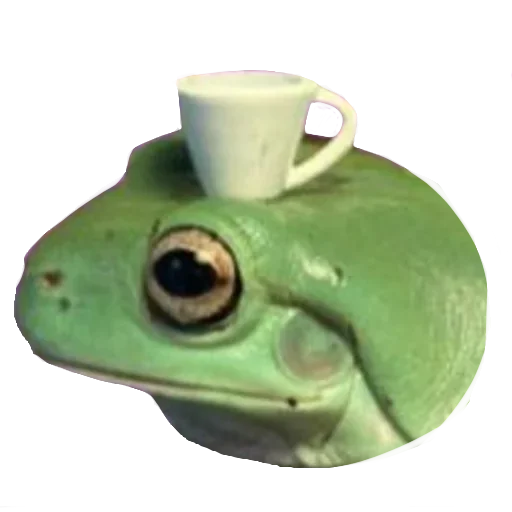 🍵 Стикер «Jabas» для Telegram