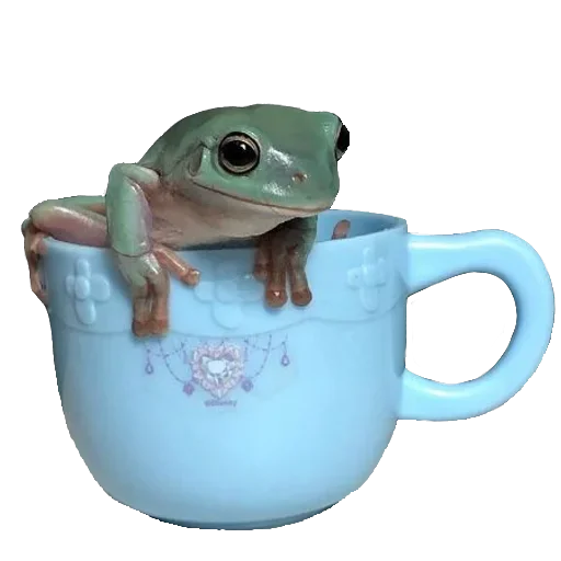 ☕️ Стикер «Jabas» для Telegram