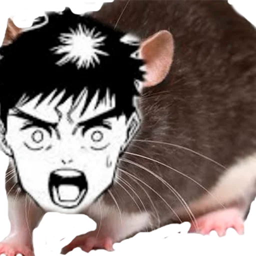 🐀 Стикер «JJK Sticker Pack» для Telegram