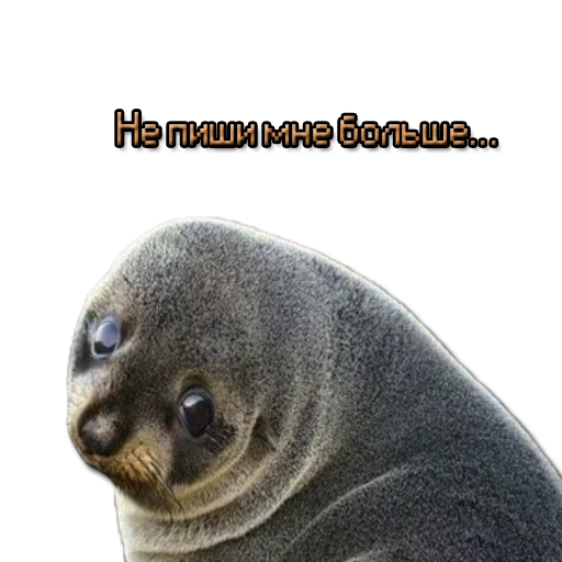 😔 Стикер «ЖМЫХИ» для Telegram
