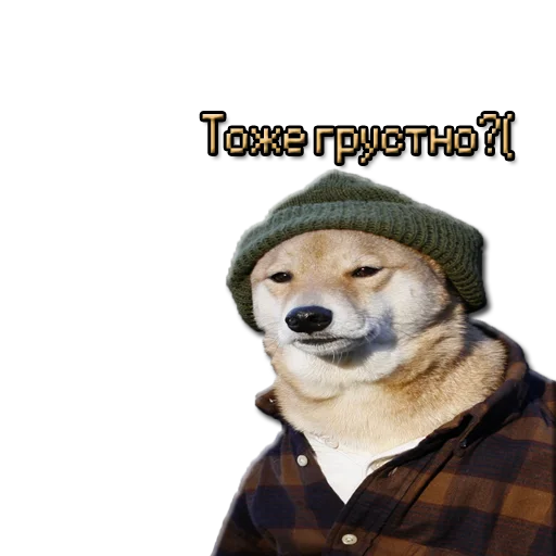 😔 Стикер «ЖМЫХИ» для Telegram