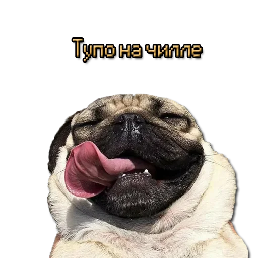 🤤 Стикер «ЖМЫХИ» для Telegram
