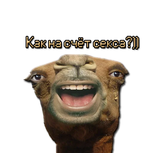 🔥 Стикер «ЖМЫХИ» для Telegram