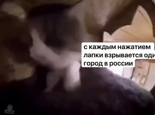 ❤️ Стикер «Джо Байден» для Telegram