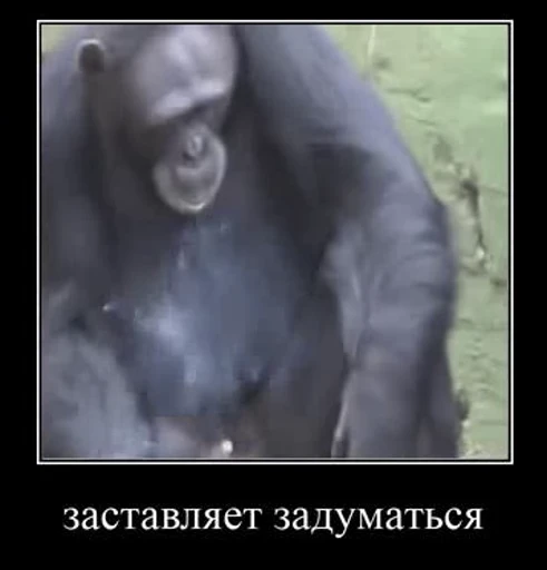 ❤️ Стикер «Джо Байден» для Telegram