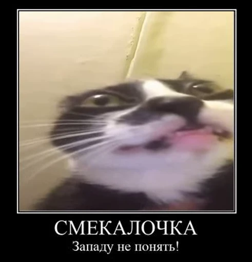 ❤️ Стикер «Джо Байден» для Telegram