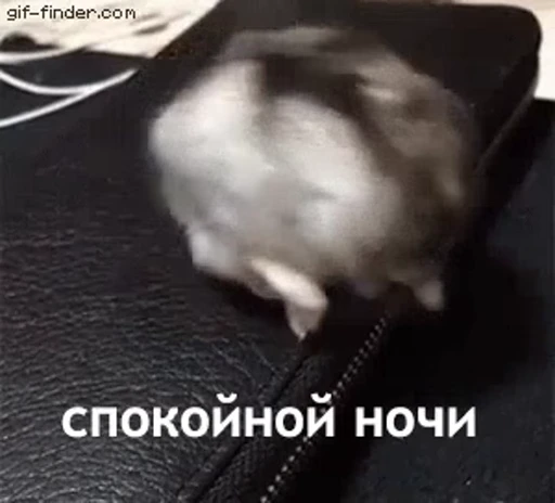 ❤️ Стикер «Джо Байден» для Telegram
