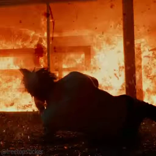 💥 Стикер «John Wick» для Telegram