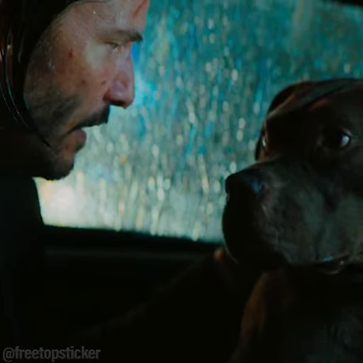 🐶 Стикер «John Wick» для Telegram