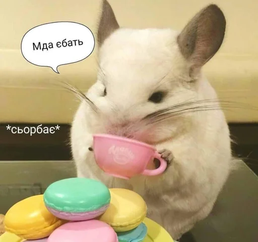 🫠 Стикер «Jojinella» для Telegram