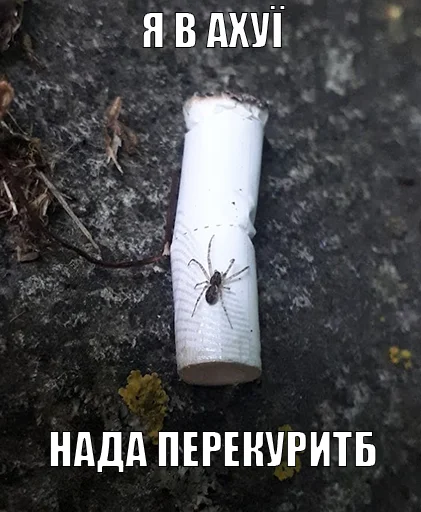 🕷 Стикер «Jojinella» для Telegram