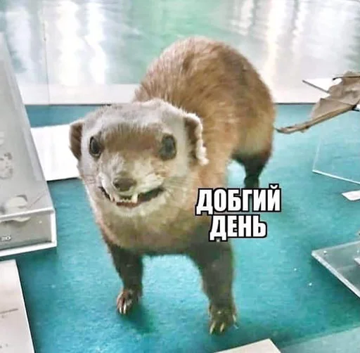 😬 Стикер «Jojinella» для Telegram