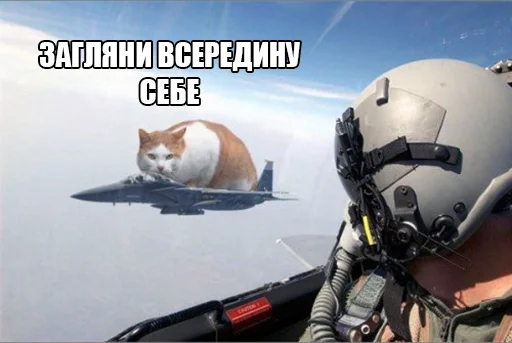 🫠 Стикер «Jojinella» для Telegram