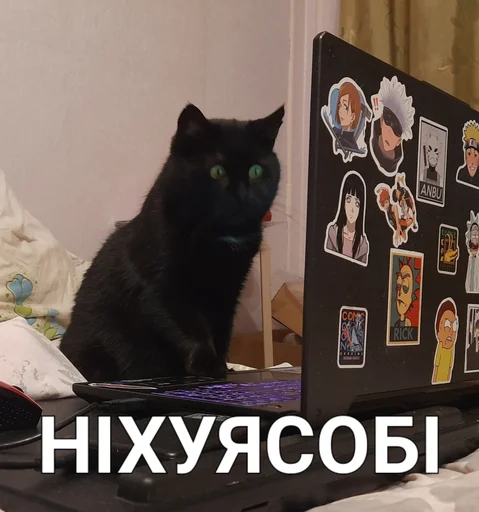 😦 Стикер «Jojinella» для Telegram
