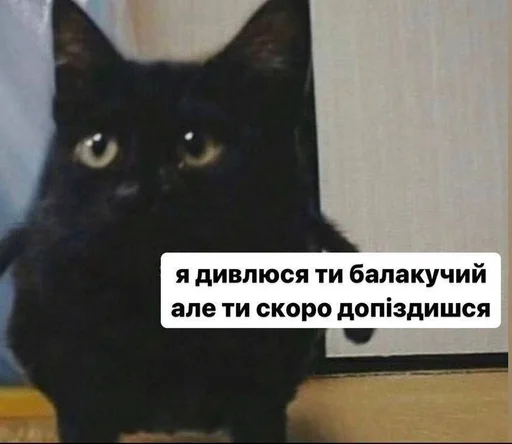 🤨 Стикер «Jojinella» для Telegram