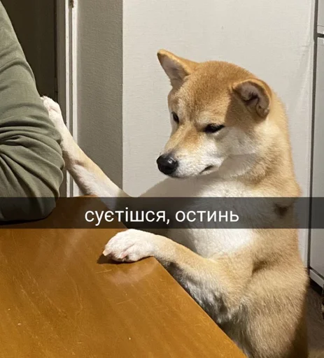 🌿 Стикер «Jojinella» для Telegram