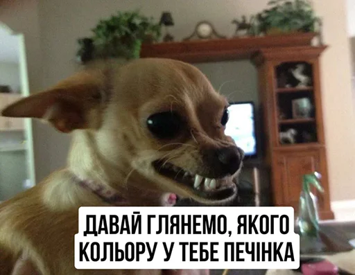 🍽 Стикер «Jojinella» для Telegram